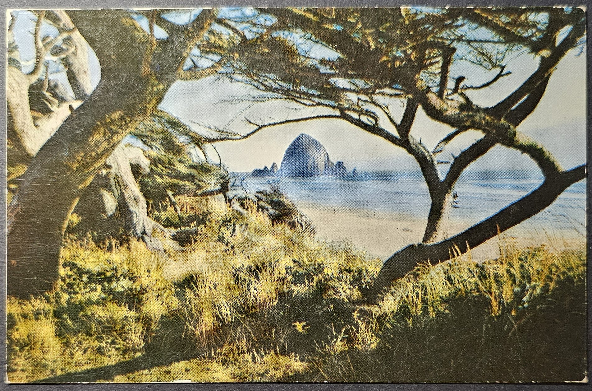 (image for) postcard USA - CA - California #0100
